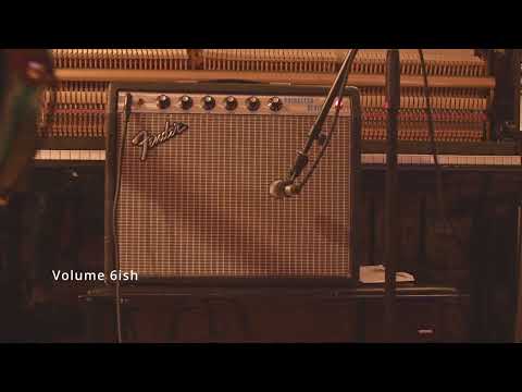 Trainwreck/ Fender Princeton Reverb 1973 - Silverface image 18