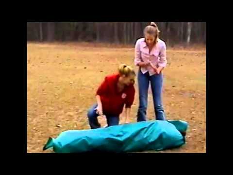 Dixie Chicks - Goodbye Earl Music Video 2004