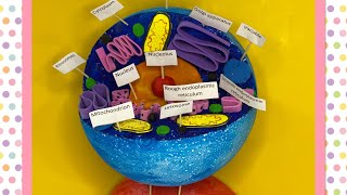 How to make animal cell model  science project  @2