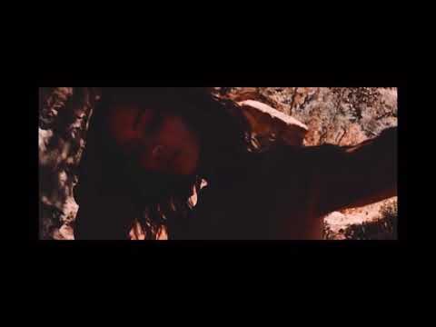 DMFMusa- See The Lights (Video Mix)