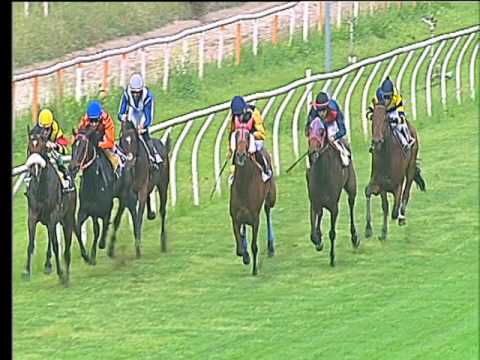 Galoppo 11/05/2017 - 3ª corsa