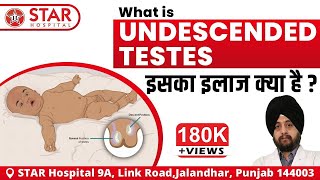 Undescended Testicle Testis operation Undescended 