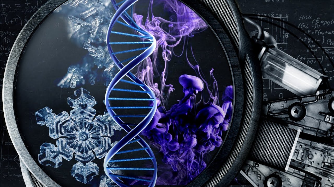 Somos informação | Nerdologia