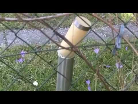 Siedlungen der Berliner Moderne