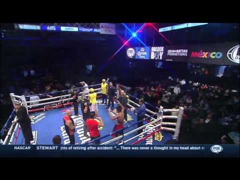 Fidel Maldonado Jr vs Nelson Lara full fight 29-01-2015