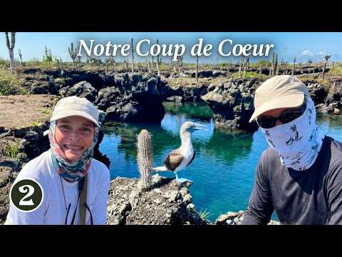 218 🇪🇨 ISABELA : Le Paradis sauvage aux Galápagos !