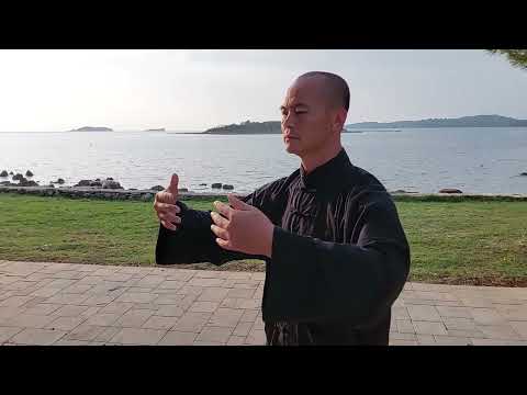 Tai Chi Class 1: Zhan Zhuang