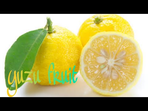 What is Yuzu fruit? How and where i use it?