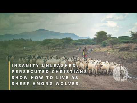 INSANITY UNLEASHED: Persecuted Christians Show How to Live as Sheep Among Wolves