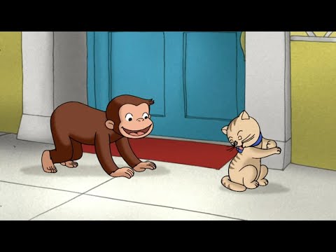 Georges le Petit Singe 🐵 George le Petit Curieux apprend à connaître les autres animaux! 🐵