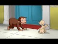 Georges Le Petit Singe George Le Petit Curieux Apprend à Connaître Les Autres Animaux