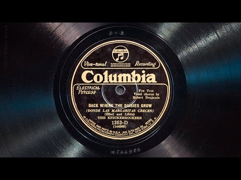 Back Where the Daisies Grow • The Knickerbockers (Victrola Credenza)