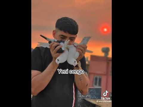 Sifir bir oyuncuların simdiki hallerii#cengo#ciobaba#burak#bilo#özgür#cio