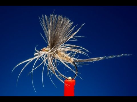 Soft hackle dry fly
