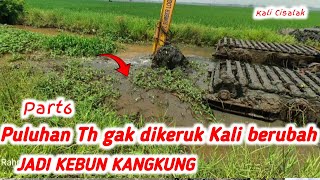 Download lagu SEPAROH KALI CISALAK BERIBAH JADI KEBUN KANGKUNG #desawadas  mp3