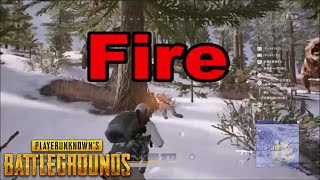[PUBG] Vikendiでドン勝！
