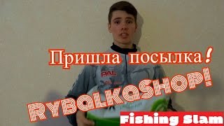 Salmo hi-tech ice sinking 30м