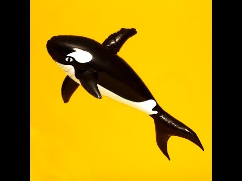 download lagu mp3 mp4 Tape Toy, download lagu Tape Toy gratis, unduh video klip Tape Toy