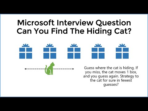 How To Solve The Hiding Cat Puzzle - Microsoft Interview Riddle