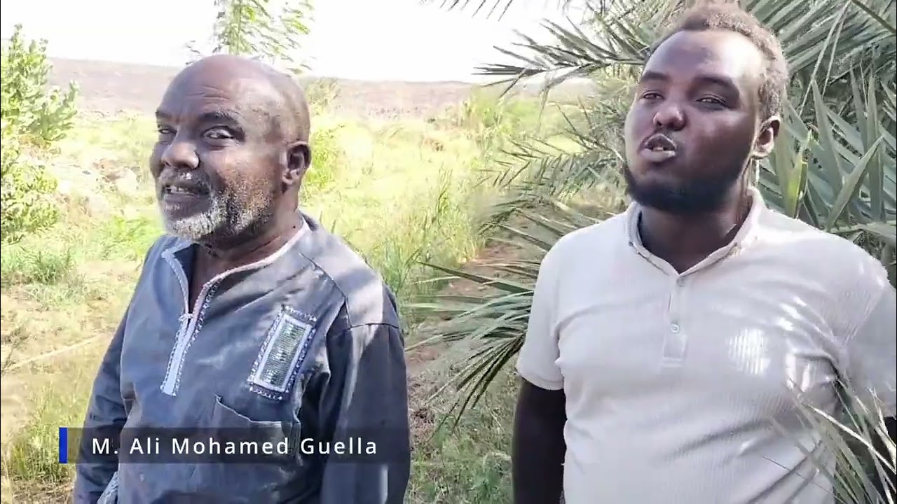 Ali Mohamed Guella - agriculteur de Dikhil