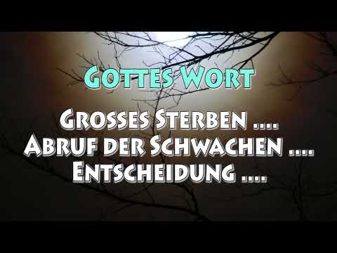KG 5271 - GROSSES STERBEN .... ABRUF DER SCHWACHEN .... ENTSCHEIDUNG ....