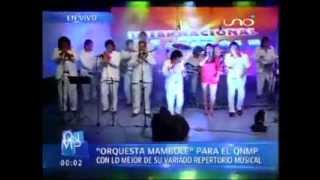 MÁMBOLE INTERNACIONAL 2026 - GOLPES EN EL CORAZÓN (en vivo QNMP)