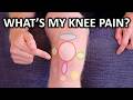 Why Your Knee Hurts. Knee Pain Types By Location & Description.