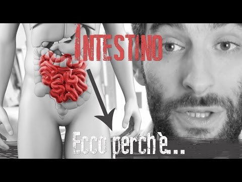 Prevenzione di helminths a donne incinte Quali vermi da pulci a un gatto