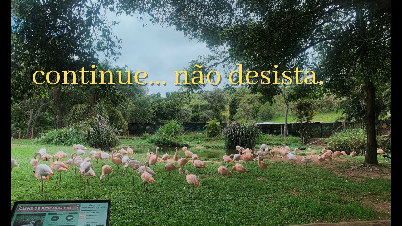 para aqueles que estão tentando.