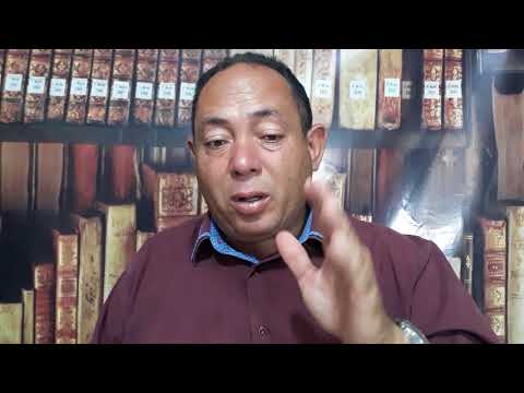 Sonhar Com Leão  Significa Lei Leão Animal da Legalidade o significado dos sonhos com leão