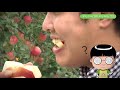Clip 1
