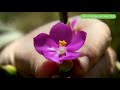 Clip 2
