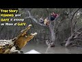 Black Water 2007 Explained In Hindi Black Water 2007 Full Movie Explained In Hindi
