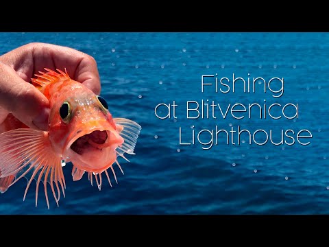 Fishing at the Blitvenica lighthouse