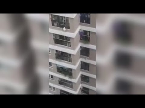 Un repartidor salva a una niña que cayó de una altura de 12 pisos en Vietnam