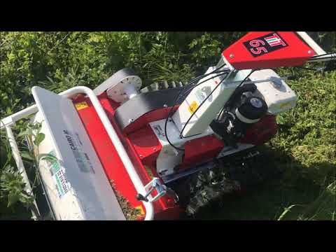 MOTOTRINCIA CINGOLATA TEKNA TTC 65 - SUPER PROFESSIONALE - MOTORE HONDA GX - NUOVA da Giordano Cairo