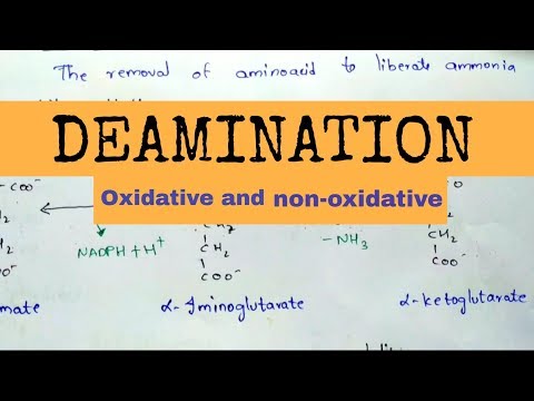 Beta oxidation of Fatty acids Energetics By phanindra