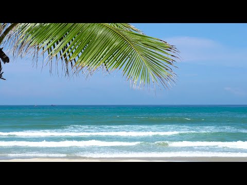 🔅 Soothing Tropical Beach View with Relaxing Sounds of Calm Ocean Waves