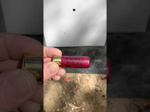 Federal Flite Control Buckshot: Cylinder Bore Pattern (Remington 870) 5/23/25