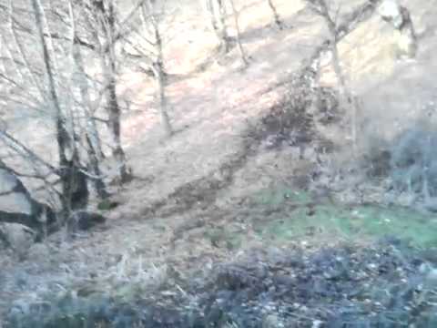 Valea Rea ,HUTA-CERTEZE, Jud. SATU-MARE (video 1)