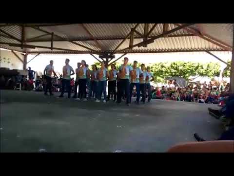 ordem Unida do Clube Felinos em Ação