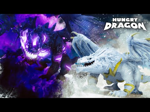 HELION VS UMBRA ! A Decades Rivalry - Hungry Dragon