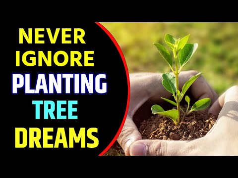 Planting Tree Dream Meaning | Planting Tree or Plant Dream Interpretation