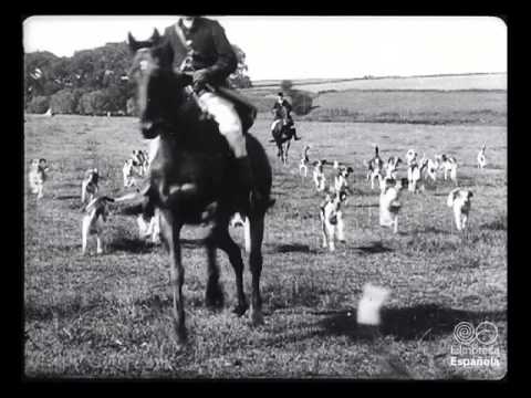 La caza del zorro en Warwick (1906)