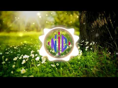 🎶 Jazzaddict's Intro – Cosimo Fogg (201) | #Instrumental [No Copyright Music]