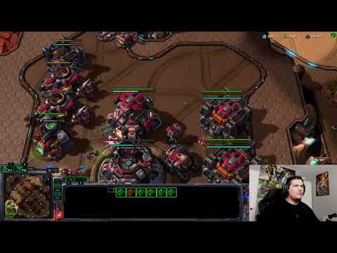 Starcraft 2 Terran vs Protoss Working out ravens