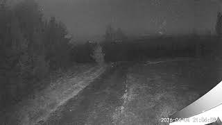 2026 04 04 pisica