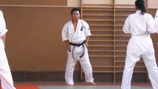 preview picture of video 'Association Fuji Dojo pratiquant le SHIDOKAN'