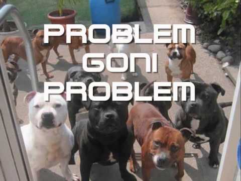 Czakson& Pucieek - Problem Goni Problem