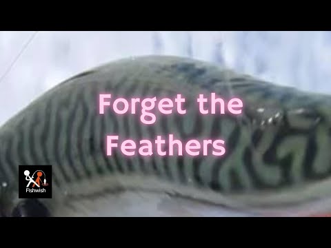 How to catch mackerel when feathers aren’t working